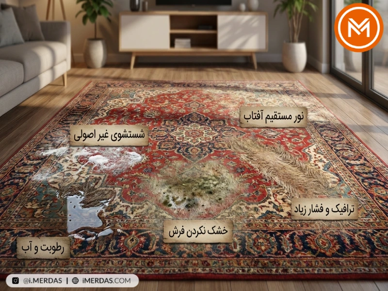 علت پوسیدگی فرش